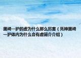 黑崎一护的虚为什么那么厉害（死神黑崎一护体内为什么会有虚简介介绍）