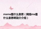 msms是什么意思（网络ms是什么意思啊简介介绍）
