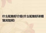 什么轮胎好介绍(什么轮胎好详细情况如何)