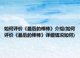 如何评价《最后的棒棒》介绍(如何评价《最后的棒棒》详细情况如何)