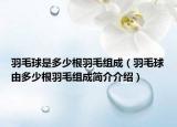 羽毛球是多少根羽毛组成（羽毛球由多少根羽毛组成简介介绍）