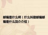 邮编是什么啊（什么叫做邮编邮编是什么简介介绍）
