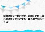 山治通缉令什么时候发出来的（为什么山治的通缉令要求活捉而不是无论生死简介介绍）