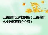 云南是什么少数民族（云南有什么少数民族简介介绍）