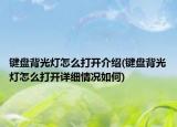 键盘背光灯怎么打开介绍(键盘背光灯怎么打开详细情况如何)
