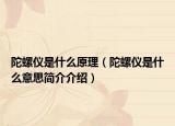 陀螺仪是什么原理（陀螺仪是什么意思简介介绍）