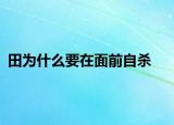 田为什么要在面前自杀