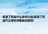 香港丁权是什么意思介绍(香港丁权是什么意思详细情况如何)