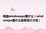 电脑windowspe是什么（windowspe是什么意思简介介绍）