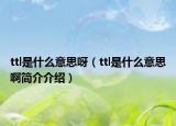 ttl是什么意思呀（ttl是什么意思啊简介介绍）