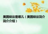 美国硅谷是哪儿（美国硅谷简介简介介绍）