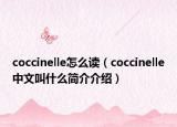 coccinelle怎么读（coccinelle中文叫什么简介介绍）