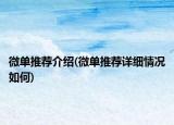 微单推荐介绍(微单推荐详细情况如何)