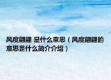 风度翩翩 是什么意思（风度翩翩的意思昰什么简介介绍）