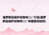 暹罗鳄是保护动物吗\