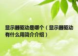 显示器驱动是哪个（显示器驱动有什么用简介介绍）