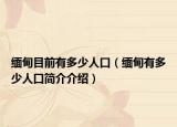 缅甸目前有多少人口（缅甸有多少人口简介介绍）
