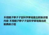 不用精子卵子子宫科学家培育出胚胎详细内容 不用精子卵子子宫科学家培育出胚胎具体介绍