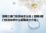 剑网三唐门惊羽诀怎么玩（剑网3唐门惊羽诀学什么秘籍简介介绍）