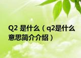 Q2 是什么（q2是什么意思简介介绍）