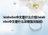 lalabobo中文是什么介绍(lalabobo中文是什么详细情况如何)