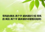 带风的(网名 两个字 越多越好介绍 带风的 网名 两个字 越多越好详细情况如何)