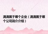 滴滴属于哪个企业（滴滴属于哪个公司简介介绍）