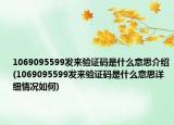 1069095599发来验证码是什么意思介绍(1069095599发来验证码是什么意思详细情况如何)