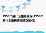 1958年属什么生肖介绍(1958年属什么生肖详细情况如何)