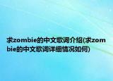 求zombie的中文歌词介绍(求zombie的中文歌词详细情况如何)