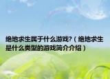 绝地求生属于什么游戏?（绝地求生是什么类型的游戏简介介绍）
