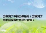 宫保鸡丁中的宫保是指（宫保鸡丁中的宫保指什么简介介绍）