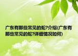 广东有那些常见的蛇?介绍(广东有那些常见的蛇?详细情况如何)