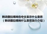 韩语撒拉嘿呦在中文表示什么意思（韩语撒拉嘿呦什么意思简介介绍）