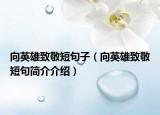 向英雄致敬短句子（向英雄致敬短句简介介绍）