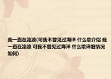 我一直在流浪(可我不曾见过海洋 什么歌介绍 我一直在流浪 可我不曾见过海洋 什么歌详细情况如何)