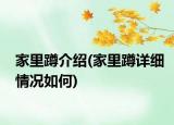 家里蹲介绍(家里蹲详细情况如何)