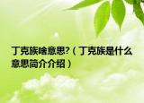 丁克族啥意思?（丁克族是什么意思简介介绍）