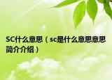SC什么意思（sc是什么意思意思简介介绍）