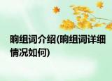 晌组词介绍(晌组词详细情况如何)