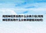 周围神经系统有什么分类介绍(周围神经系统有什么分类详细情况如何)