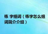 栋 字组词（栋字怎么组词简介介绍）