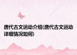 唐代古文运动介绍(唐代古文运动详细情况如何)