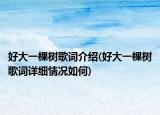 好大一棵树歌词介绍(好大一棵树歌词详细情况如何)