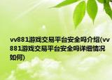 vv881游戏交易平台安全吗介绍(vv881游戏交易平台安全吗详细情况如何)