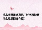 过水漫游是啥意思（过水漫游是什么意思简介介绍）