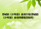 苏轼的《少年游》全诗介绍(苏轼的《少年游》全诗详细情况如何)