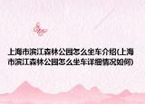 上海市滨江森林公园怎么坐车介绍(上海市滨江森林公园怎么坐车详细情况如何)