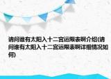 请问谁有太阳入十二宫运限表啊介绍(请问谁有太阳入十二宫运限表啊详细情况如何)
