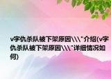 v字仇杀队被下架原因\